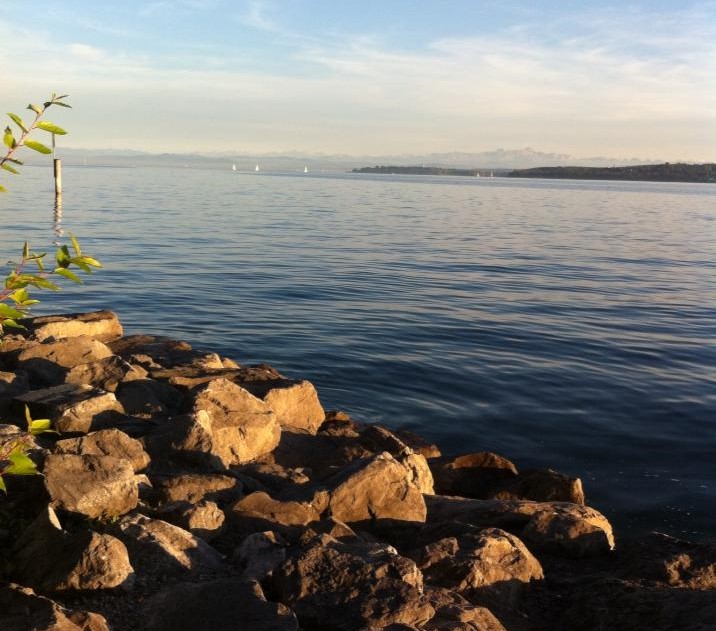 Bodensee Tyskland