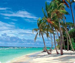 Barbados Airport car rental - lejebil på Barbados i Caribien